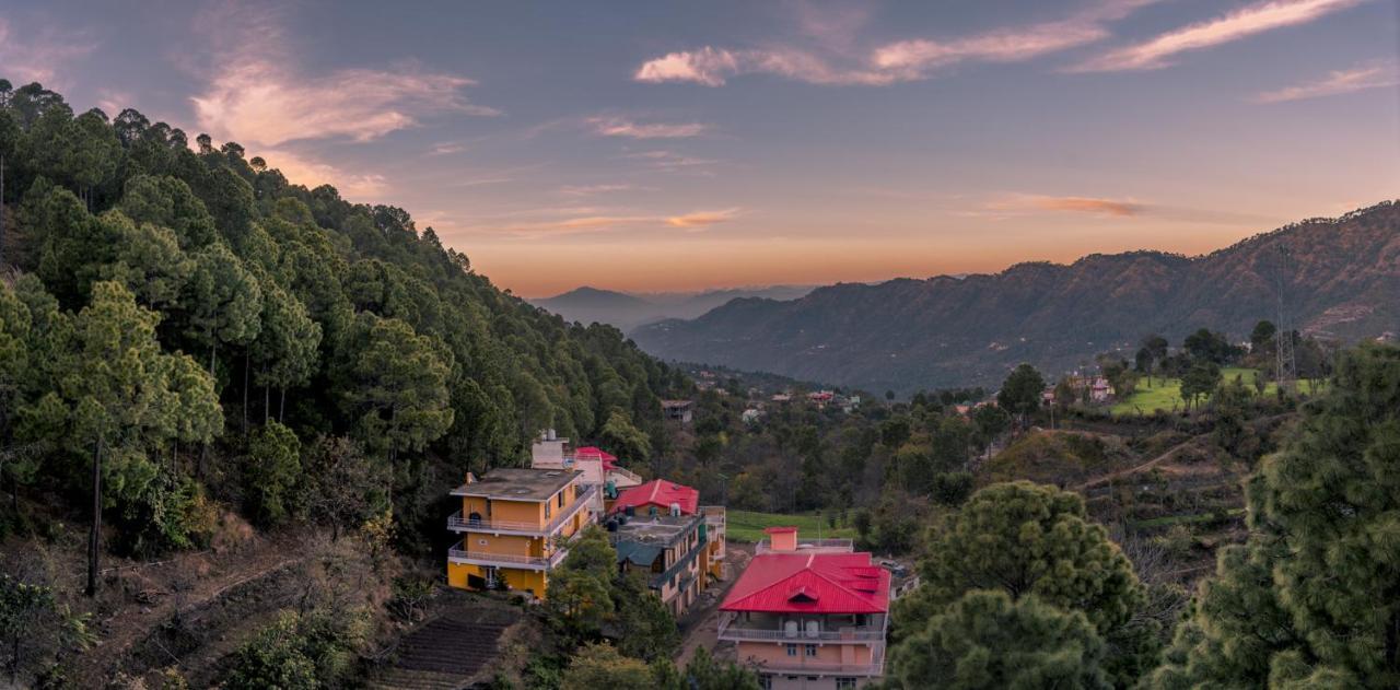 Terrace Retreat Bed and Breakfast Kasauli Zewnętrze zdjęcie